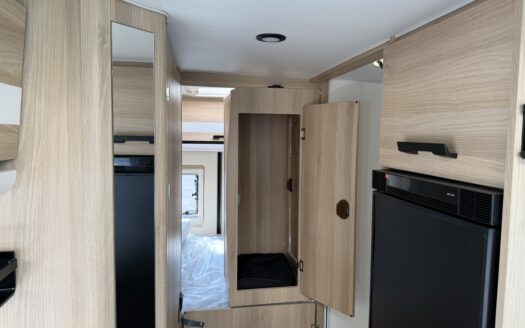 Dreamer D 55 Select Saphir